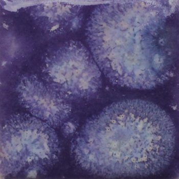 Mayco S-2723 Grape Divine Yarı Şeffaf Kristal Sır