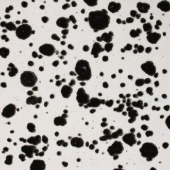 Mayco CG-977 Ink Spots Kristal Sır