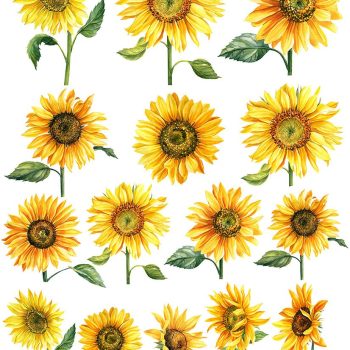 Sır Üstü Dekal Sun Flower - 23 x 28 cm