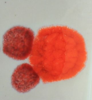 Turuncu Kristal Tanecik - 10 gr