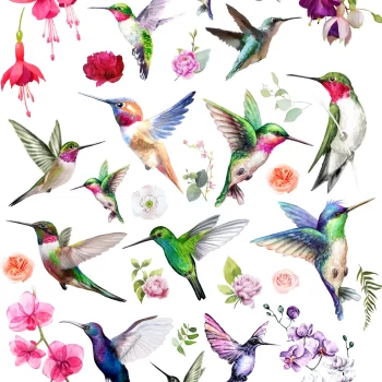 Sır Üstü Dekal Hummingbird - 23 x 28 cm