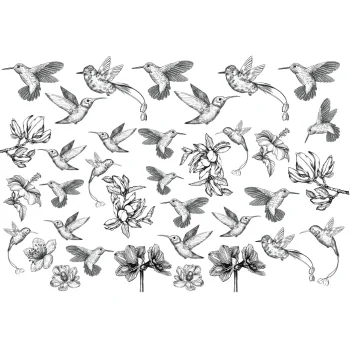 Sır Altı Dekal Humming Bird - 35 x 50 cm